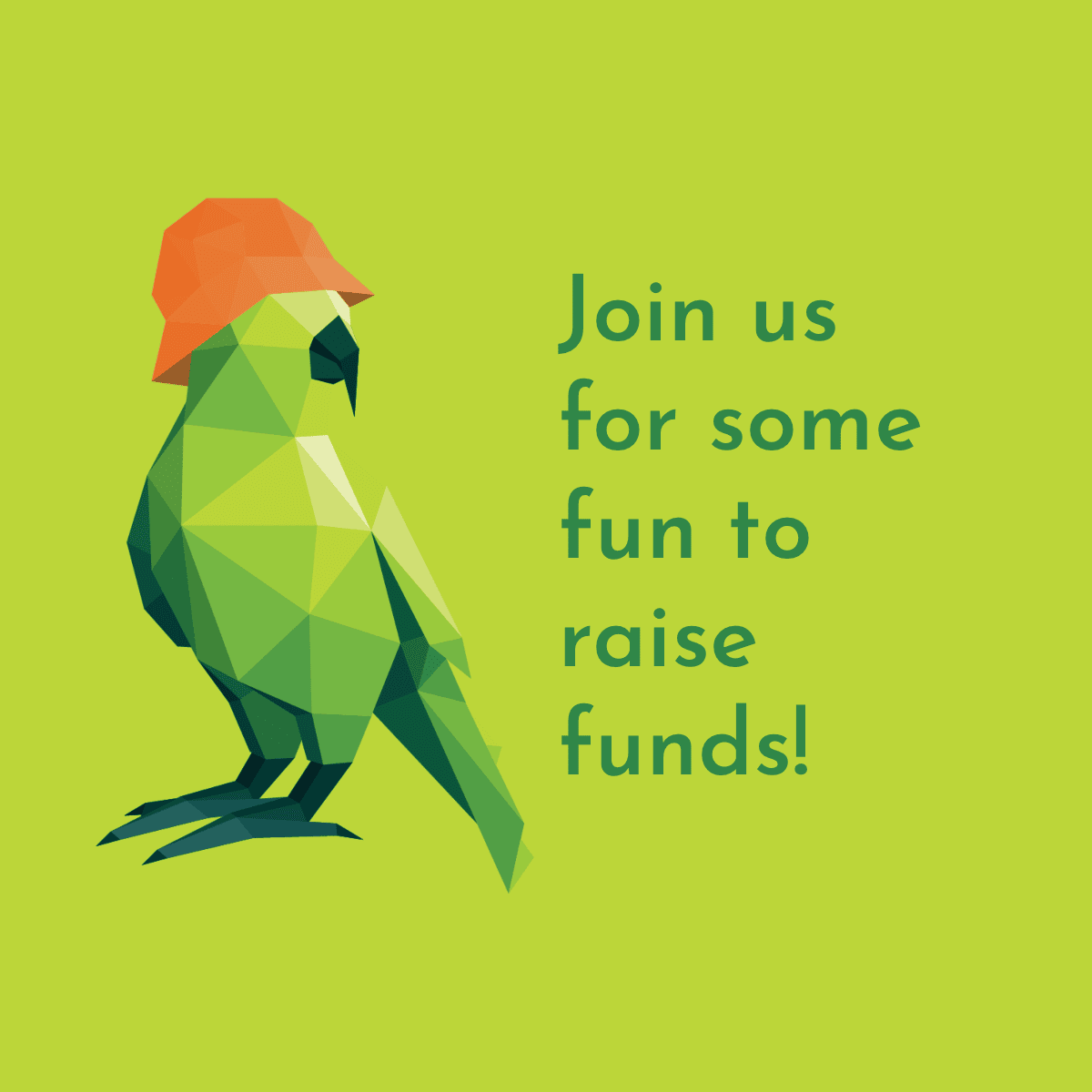 Pub Quiz Fundraiser poster